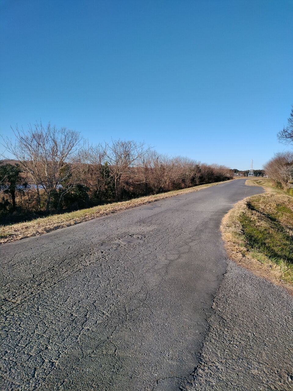 IMG_20260112_082519578