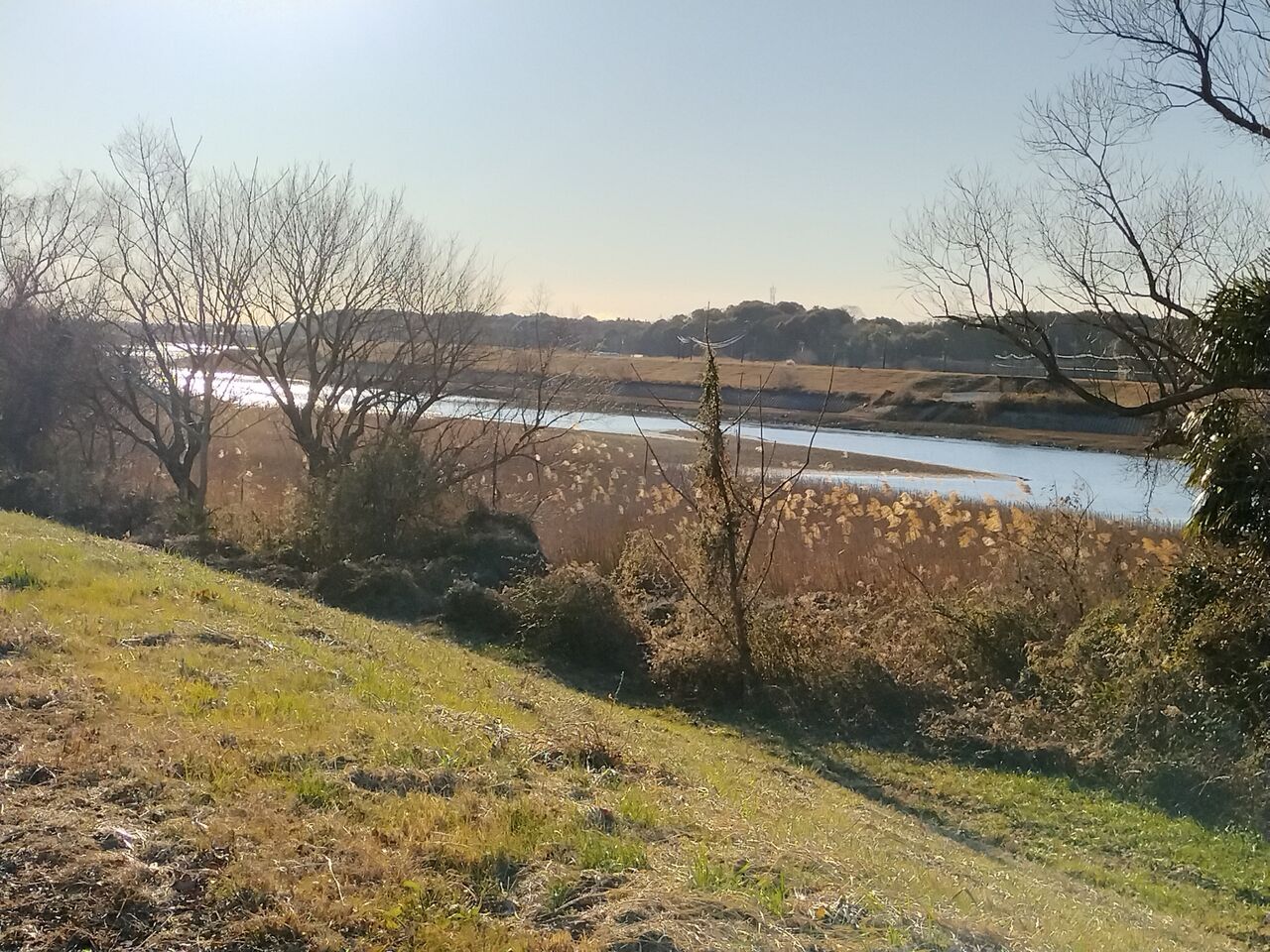 IMG_20260112_082535188