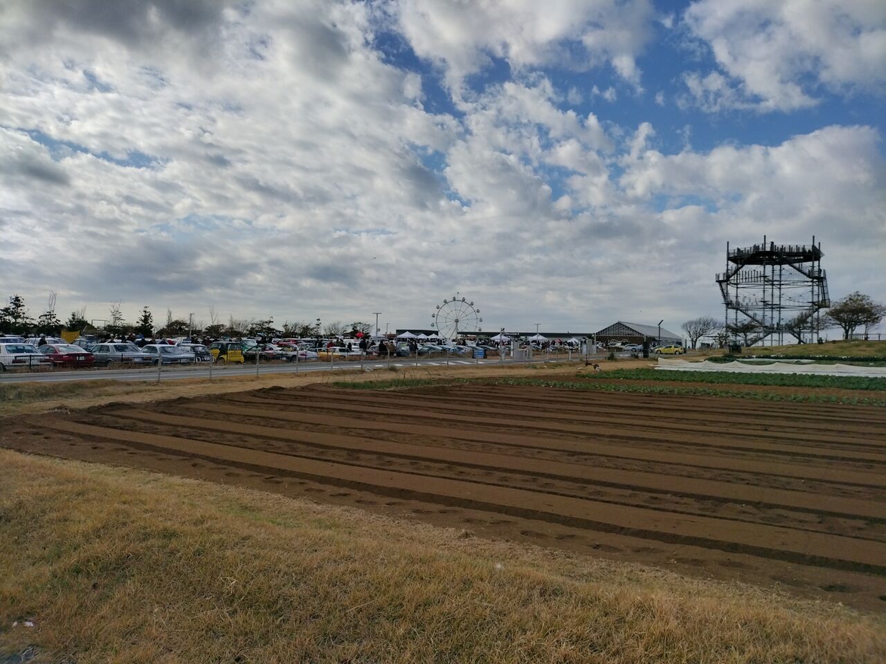 IMG_20251206_123229036