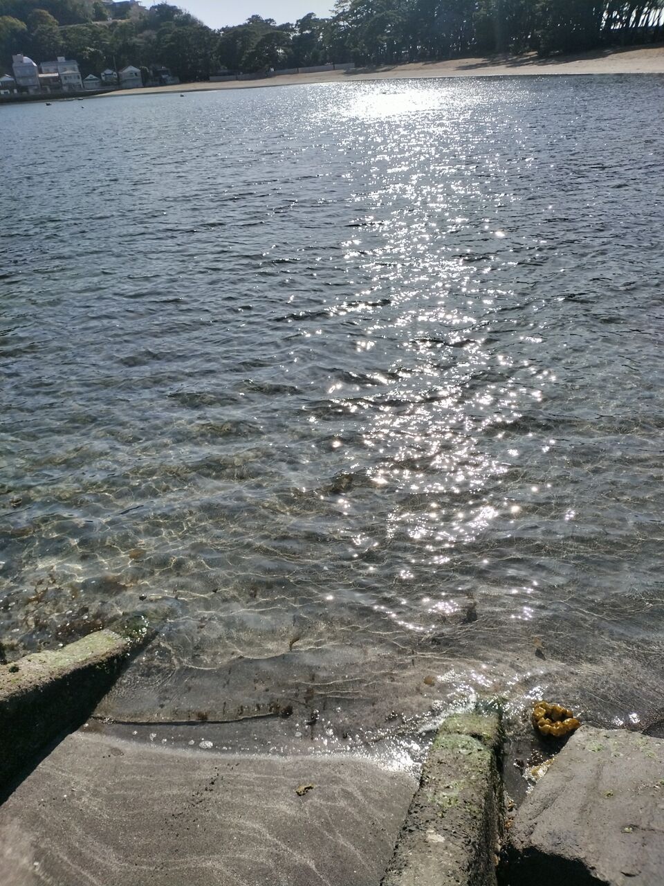 IMG_20260219_142637617