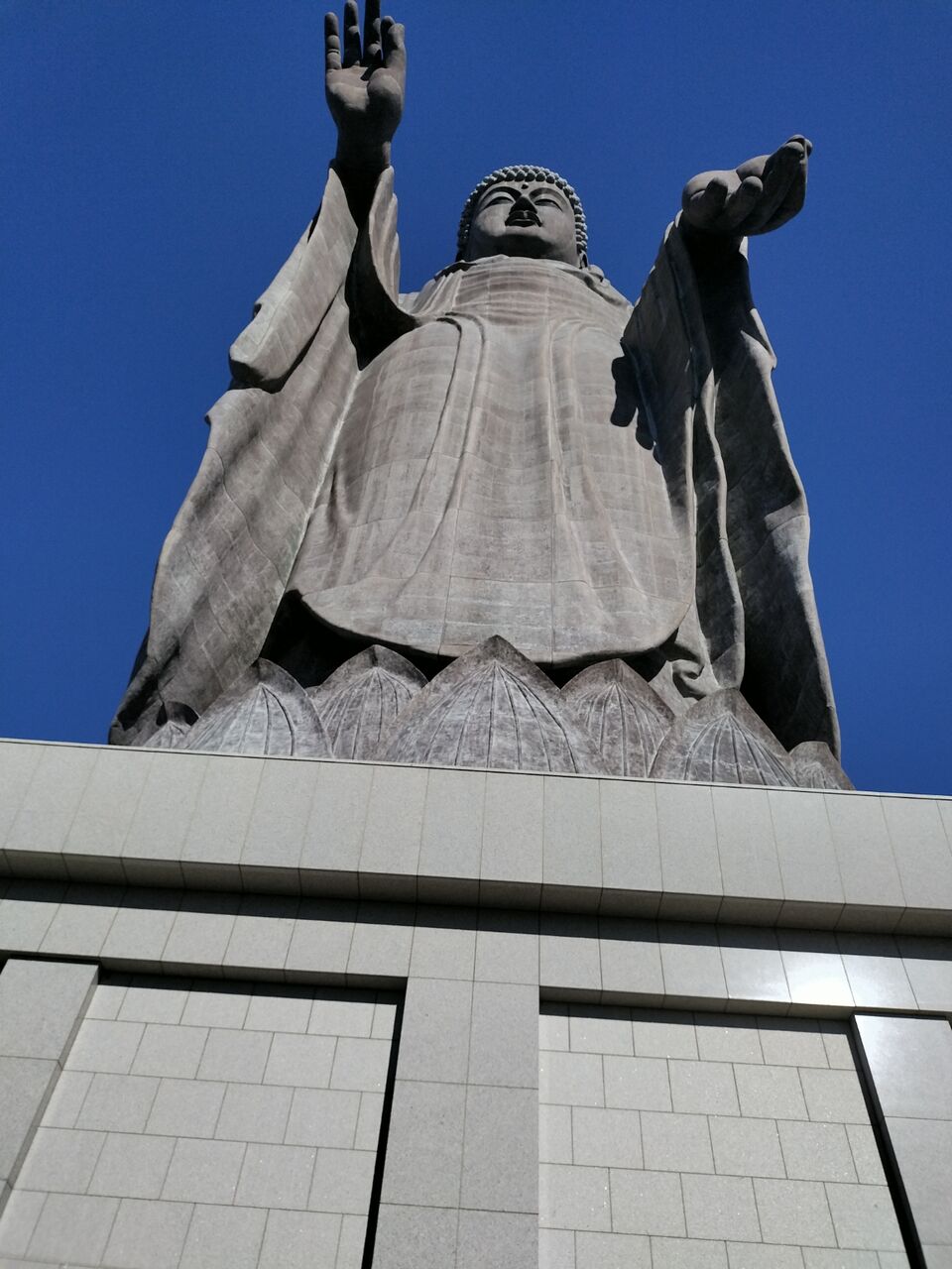 IMG_20260112_103045621