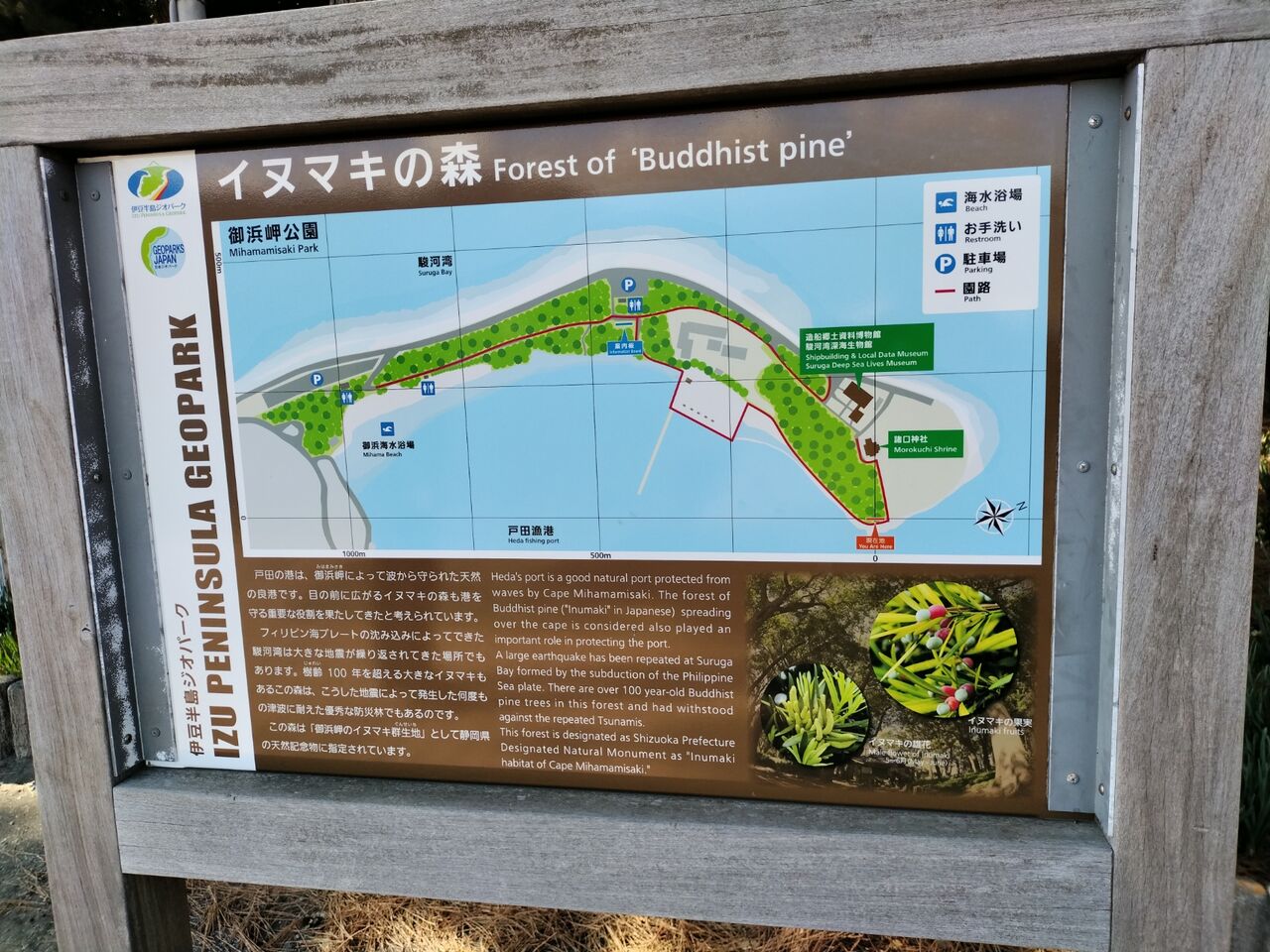 IMG_20260219_141606329