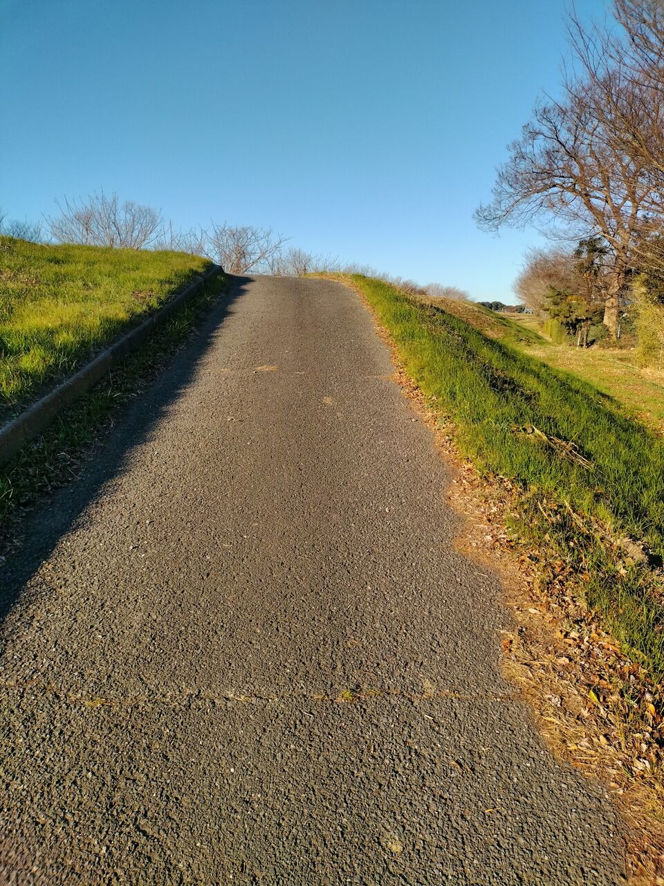 IMG_20260112_082501052