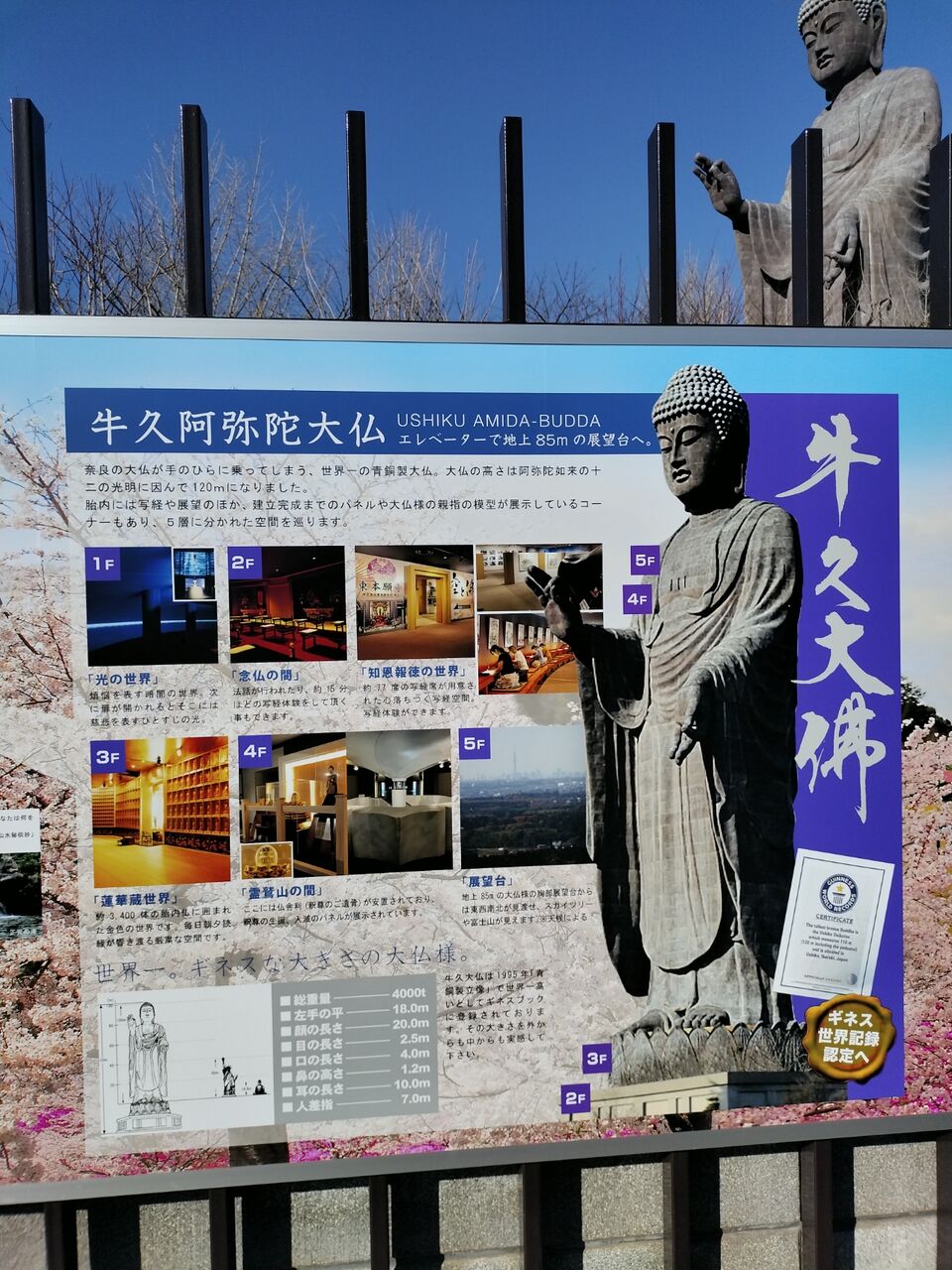 IMG_20260112_101915297