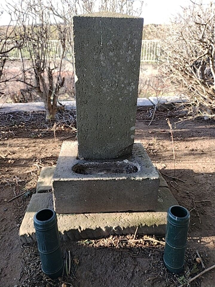 IMG_20260112_080202836