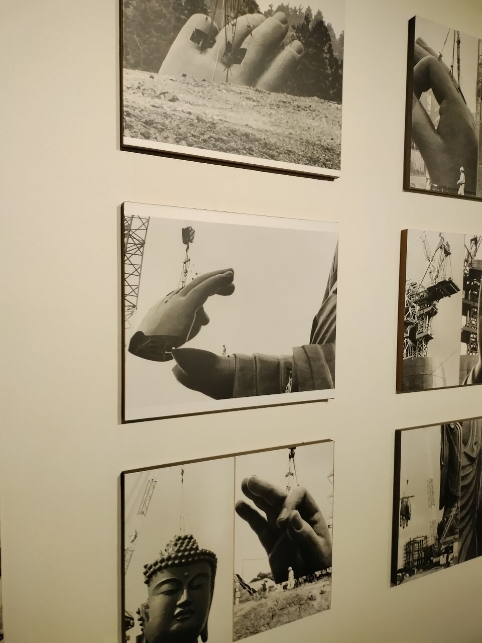 IMG_20260112_103911963