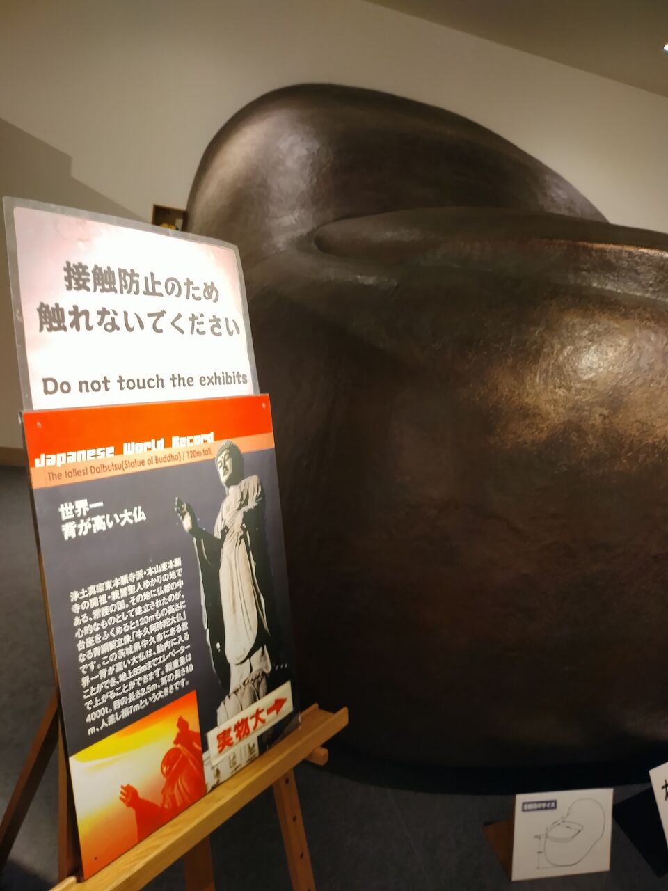 IMG_20260112_103743094