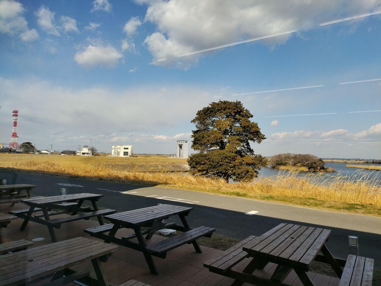 IMG_20260125_123037984