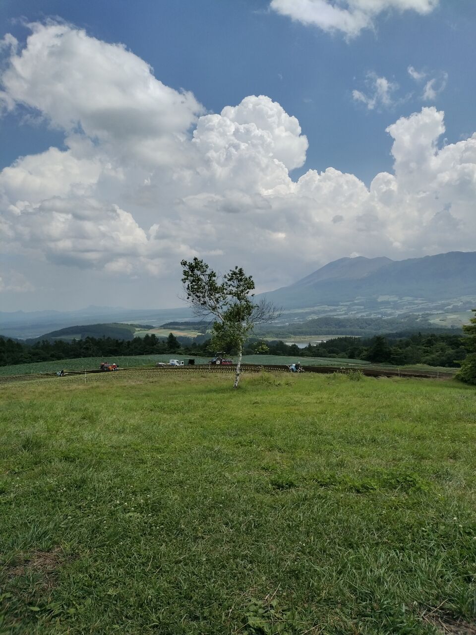 IMG_20260721_131719662