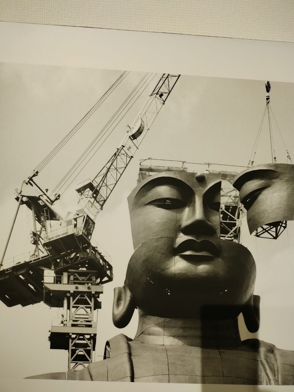 IMG_20260112_103938596