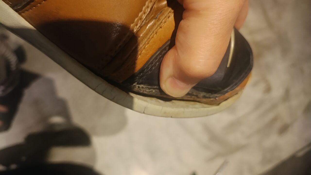 IMG_20261024_050419938