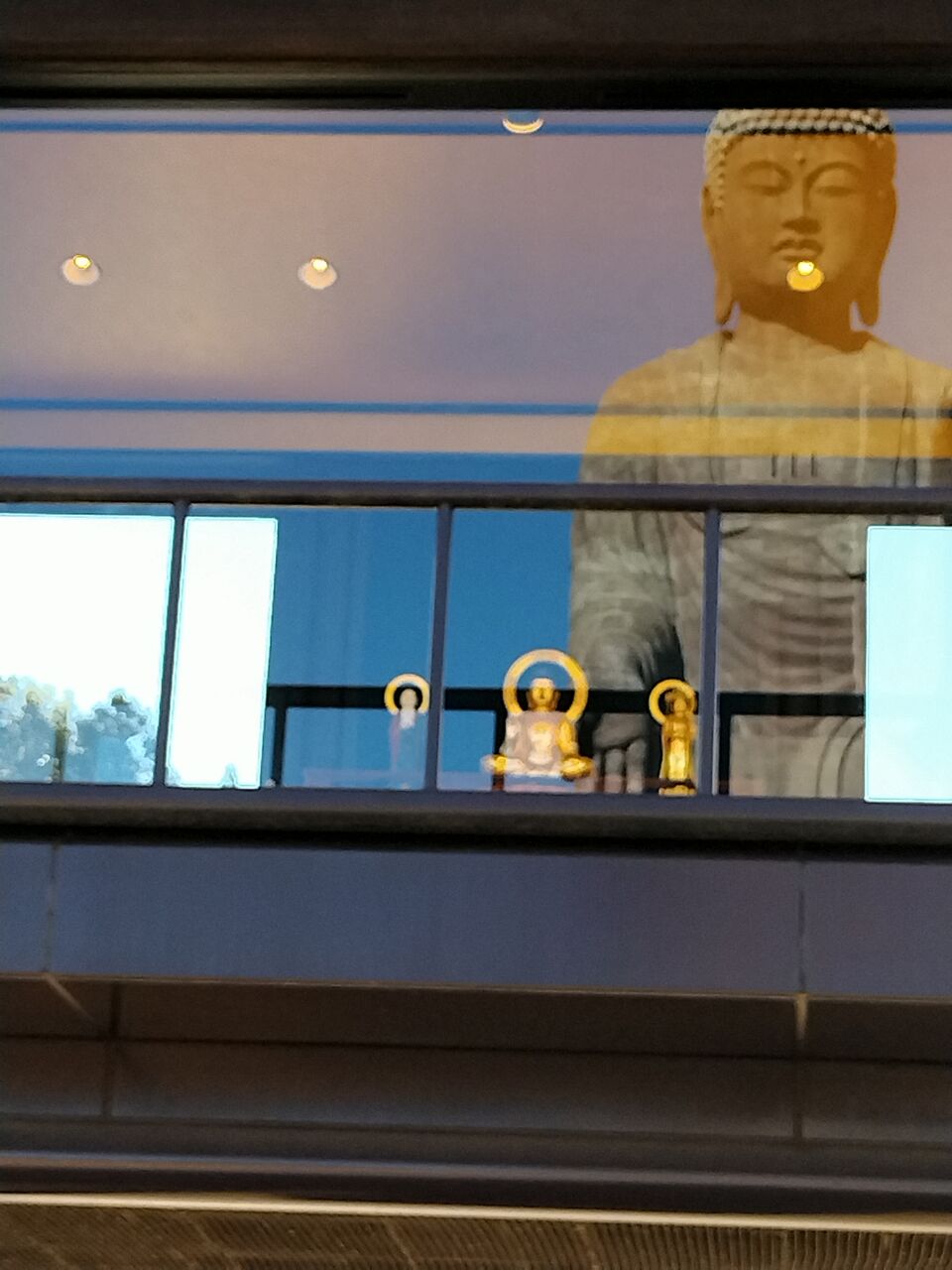 IMG_20260112_102612638