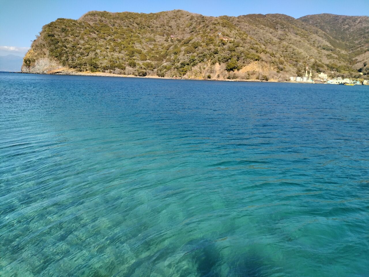 IMG_20260219_141742684