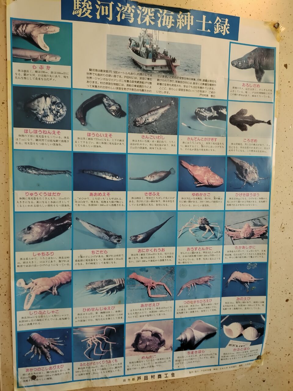 IMG_20260219_130725930