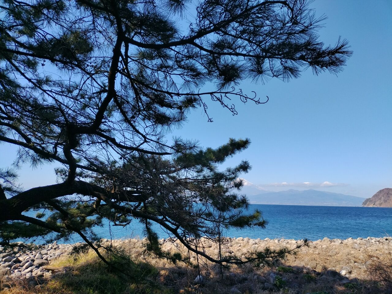 IMG_20260219_140844735