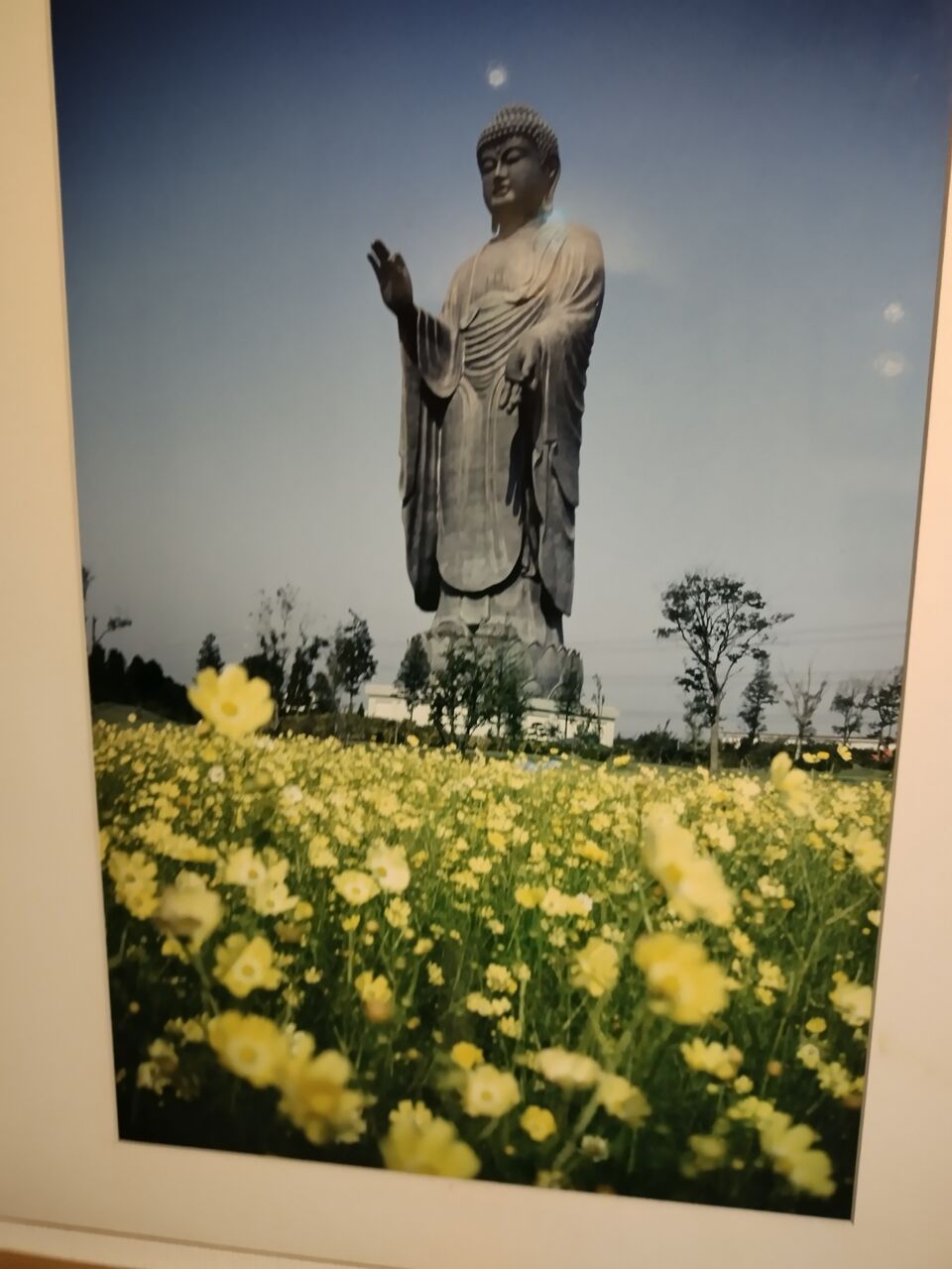 IMG_20260112_104013434