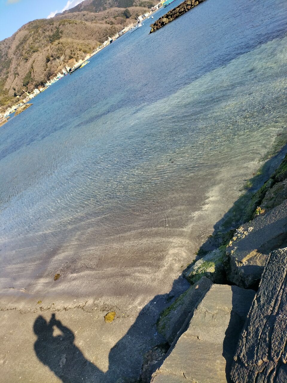 IMG_20260219_142646811