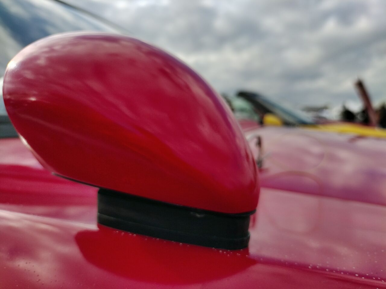 IMG_20251206_132859857