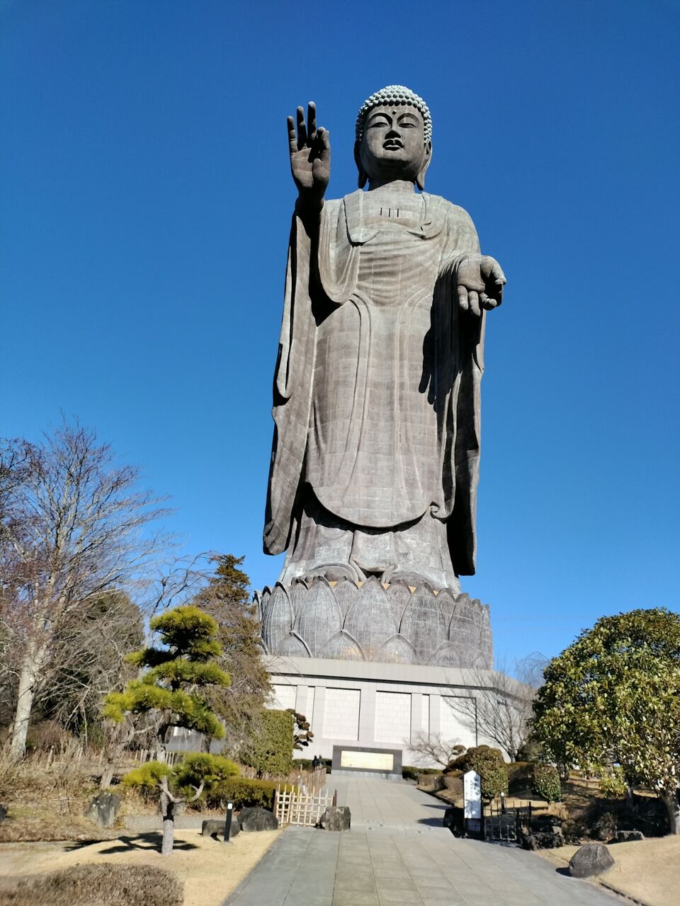 IMG_20260112_102901247