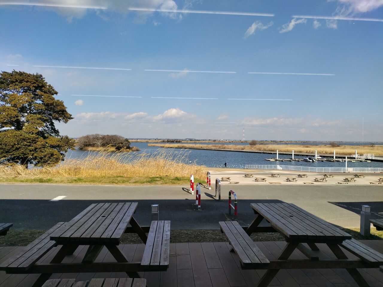 IMG_20260125_123027388