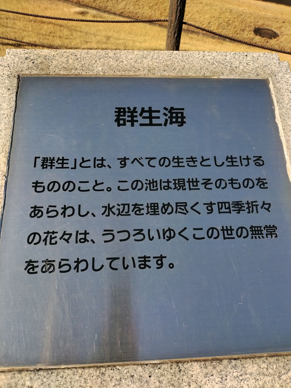 IMG_20260112_102640942