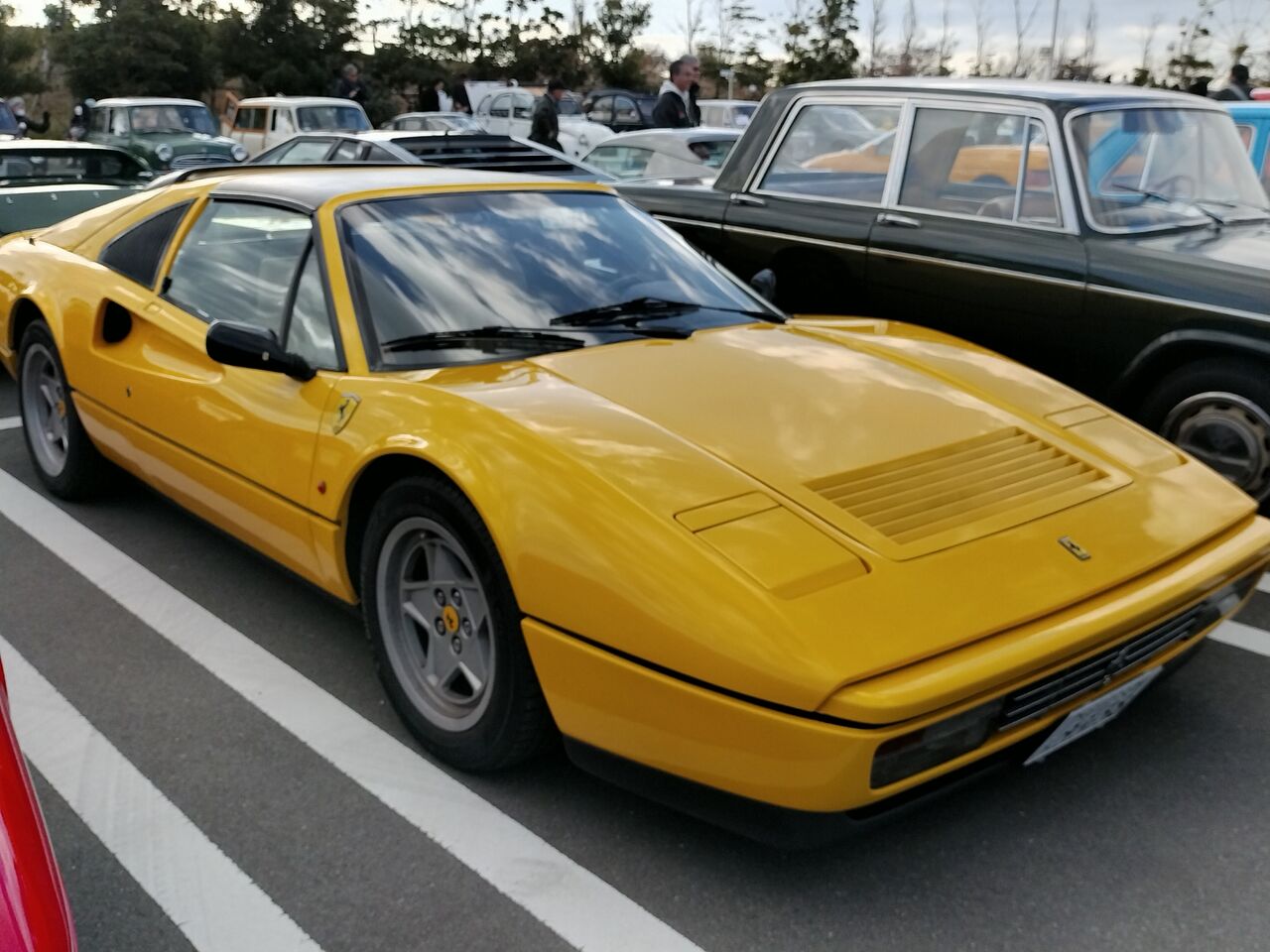 IMG_20251206_132221136