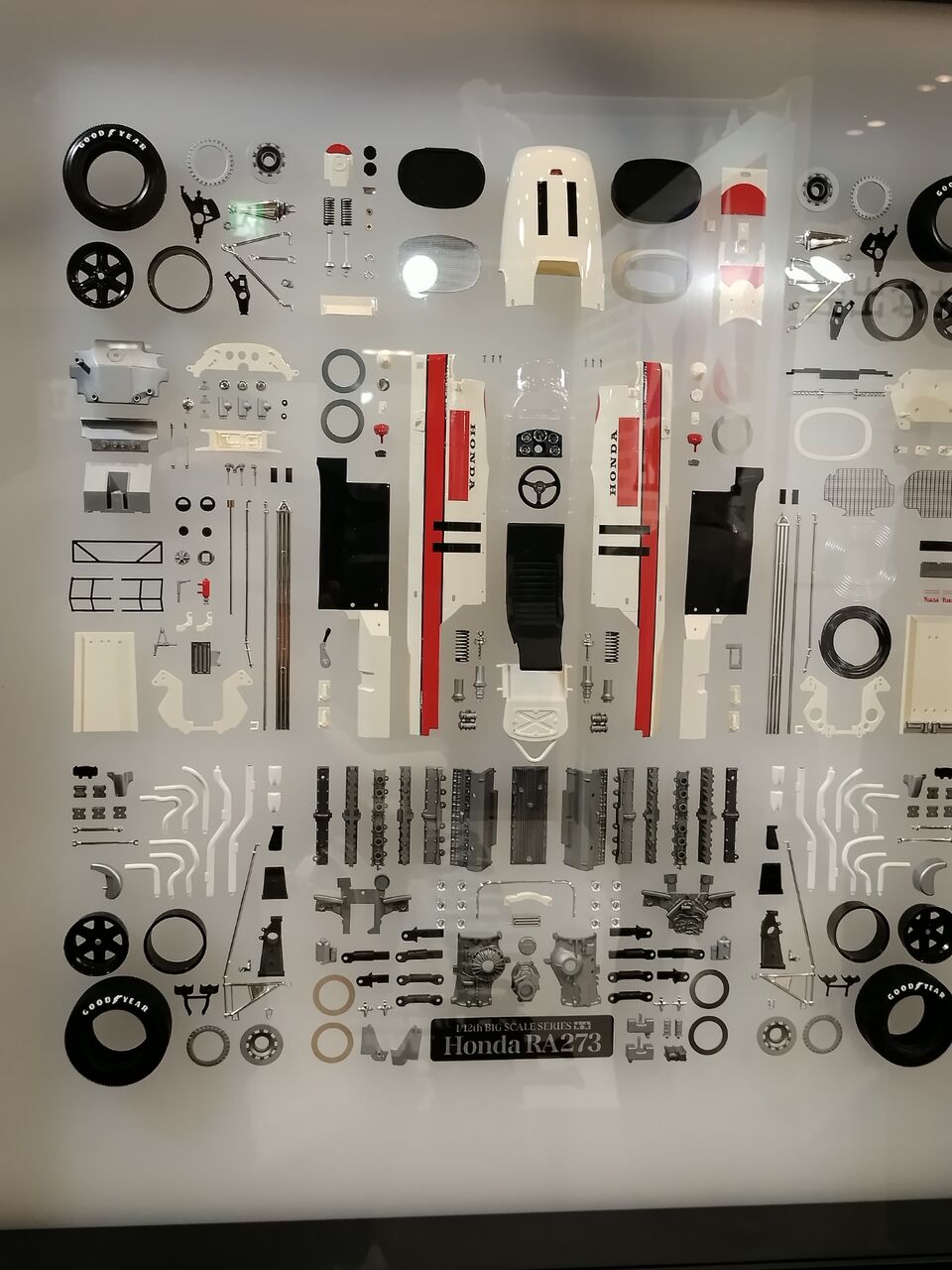 IMG_20251116_130532138