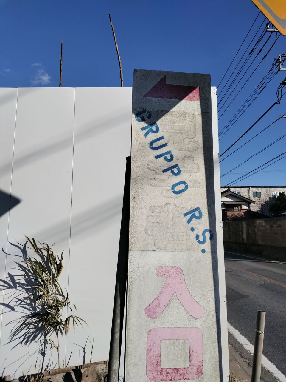 IMG_20260125_145156628