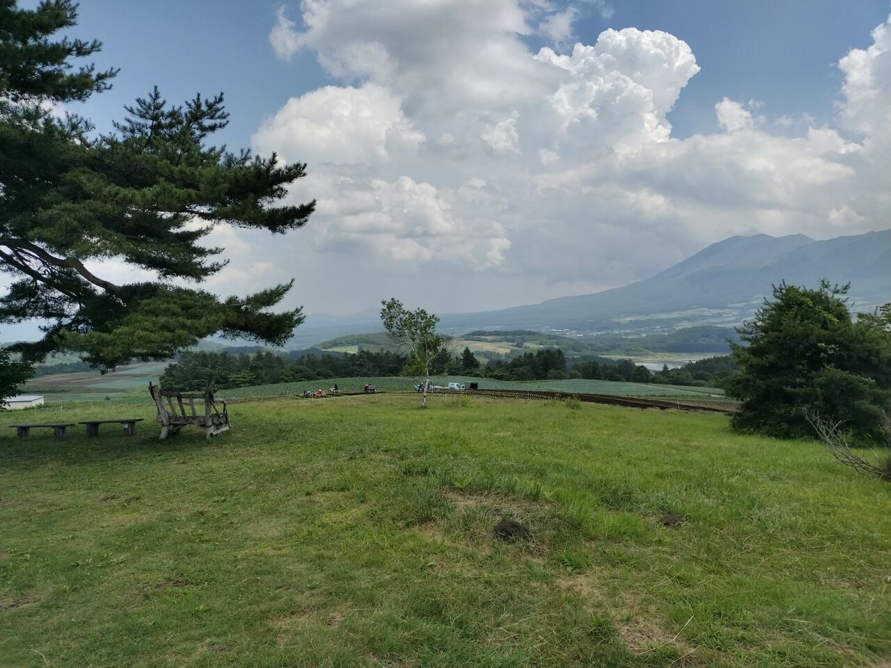 IMG_20260721_131445943