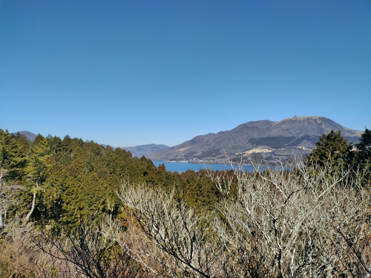 IMG_20260219_103908473