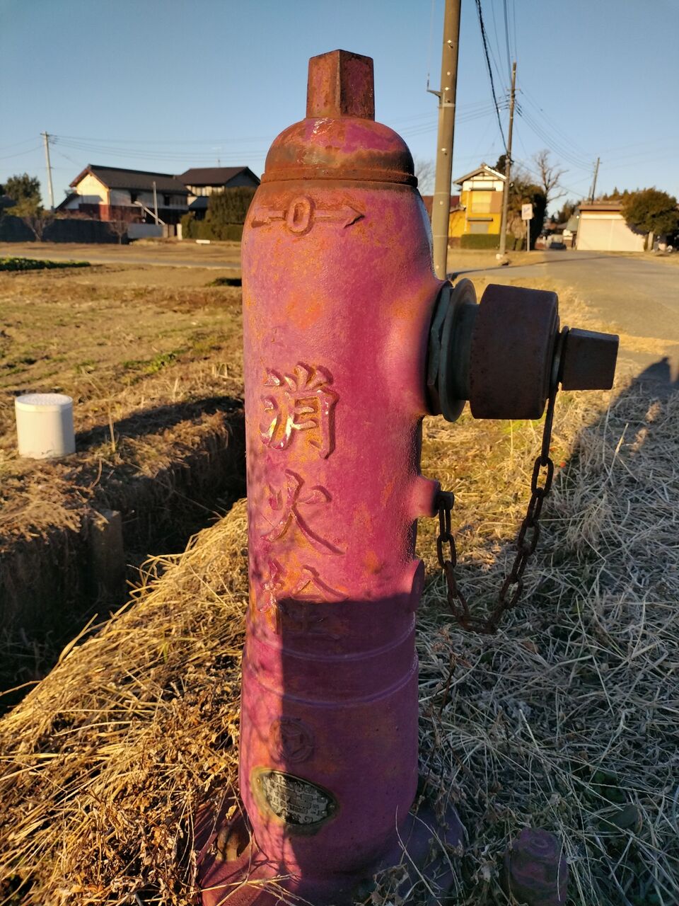 IMG_20260112_075632557