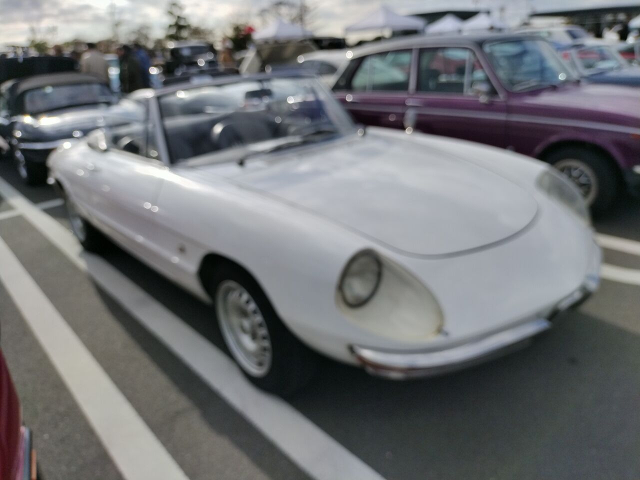 IMG_20251206_133001196