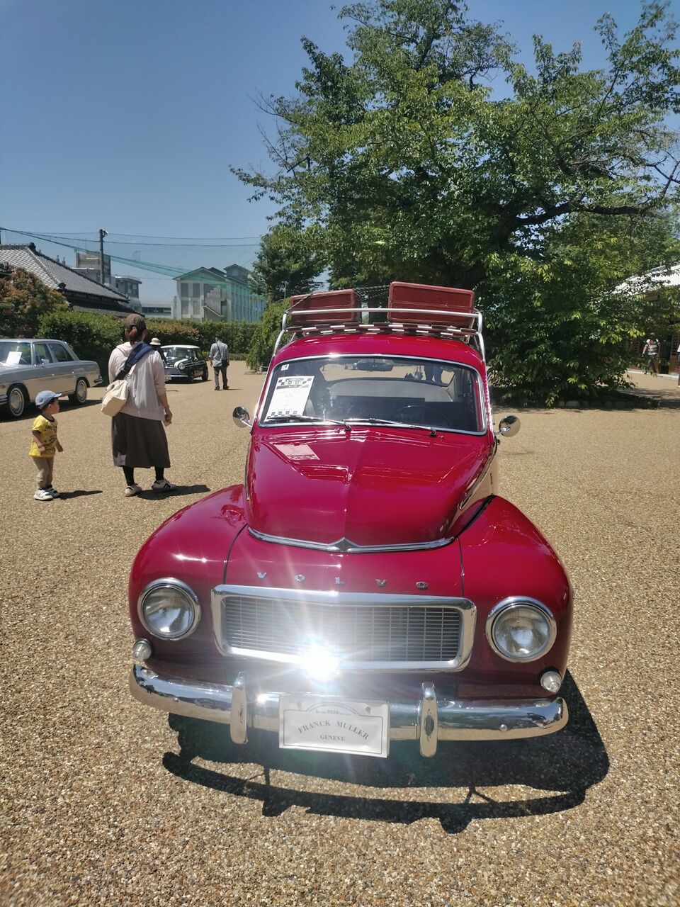 IMG_20260517_105259146
