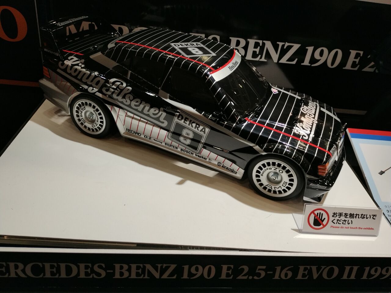 IMG_20251116_131209693