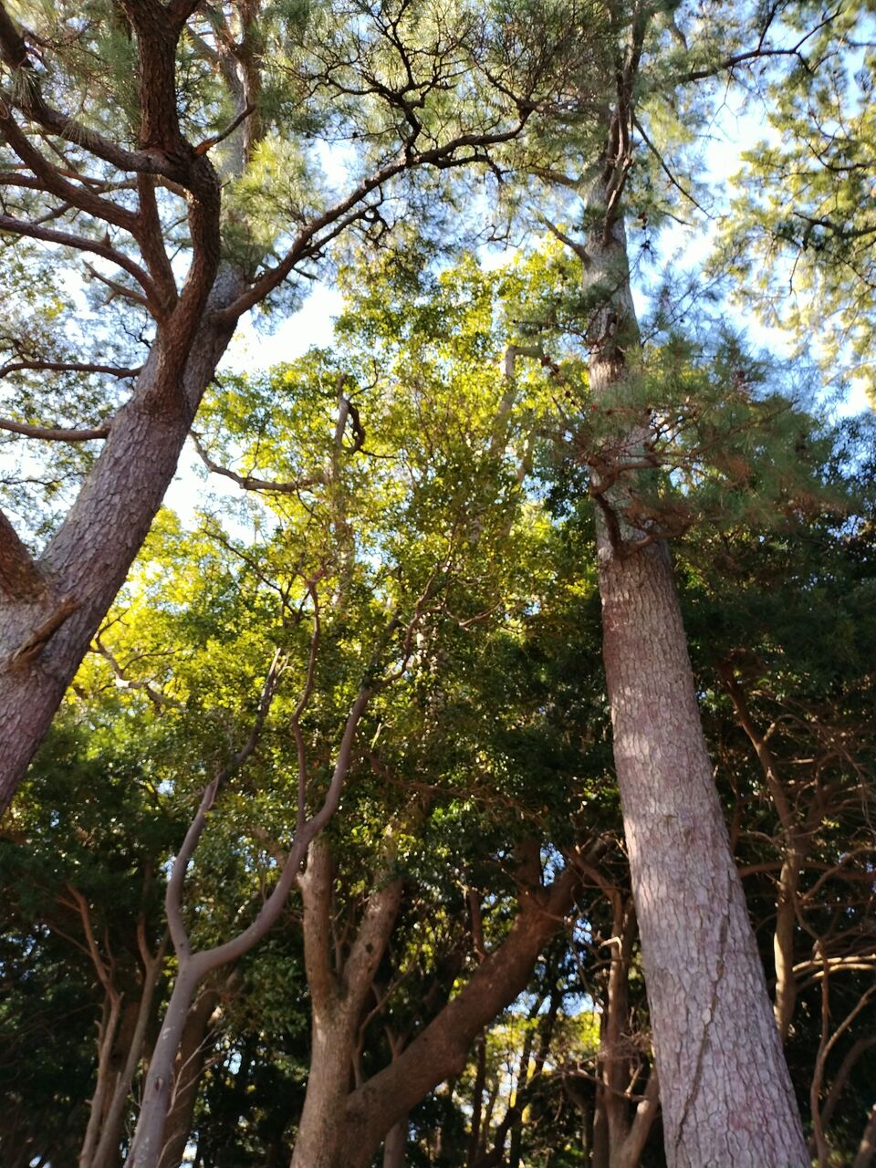 IMG_20260219_141612301