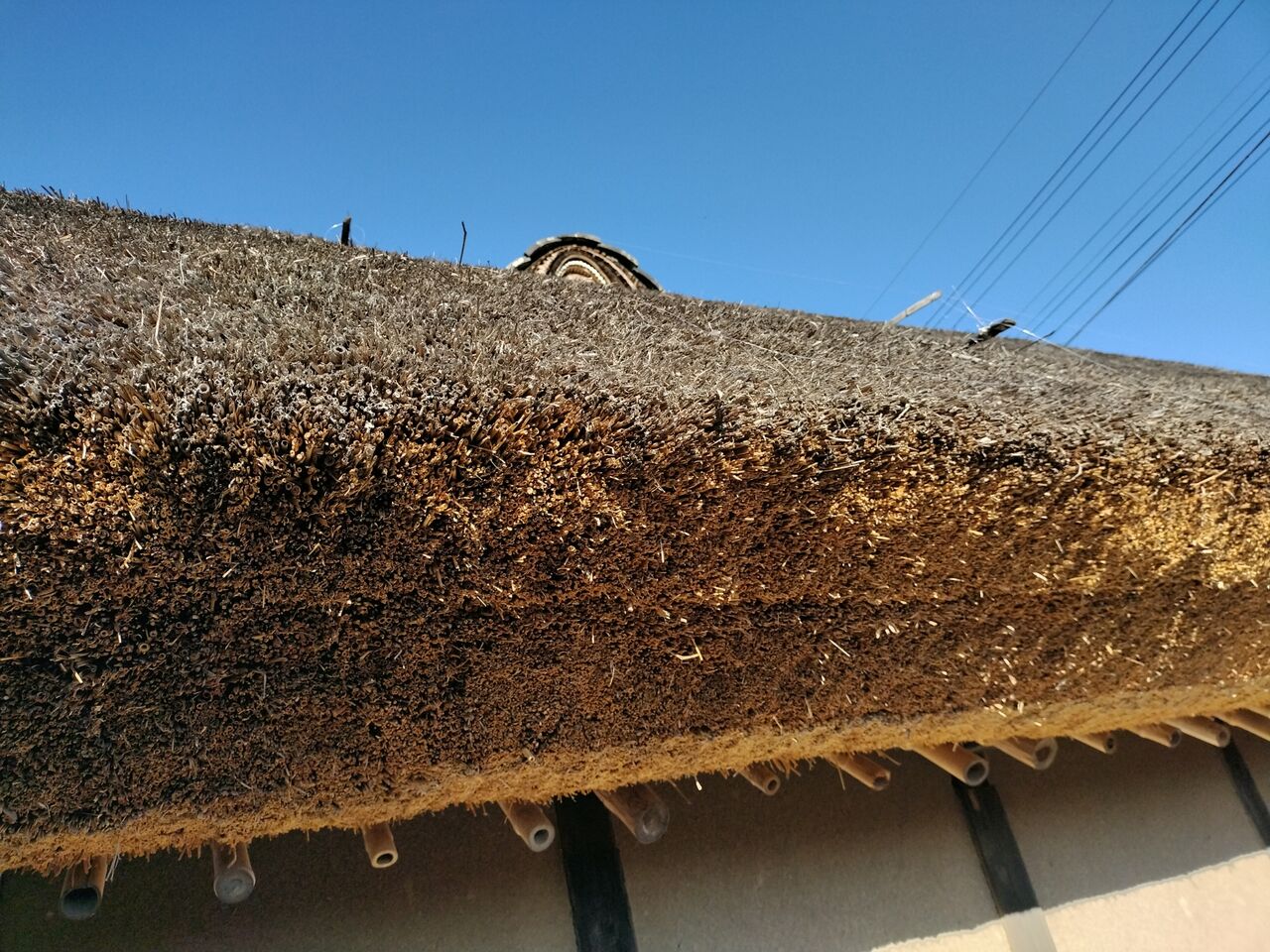 IMG_20260112_090249730