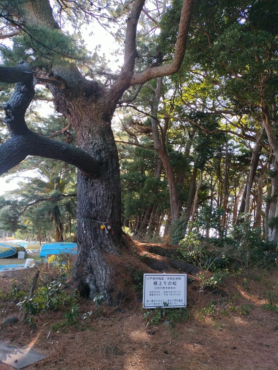 IMG_20260219_143542696