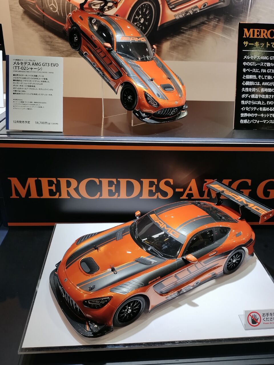 IMG_20251116_131202424