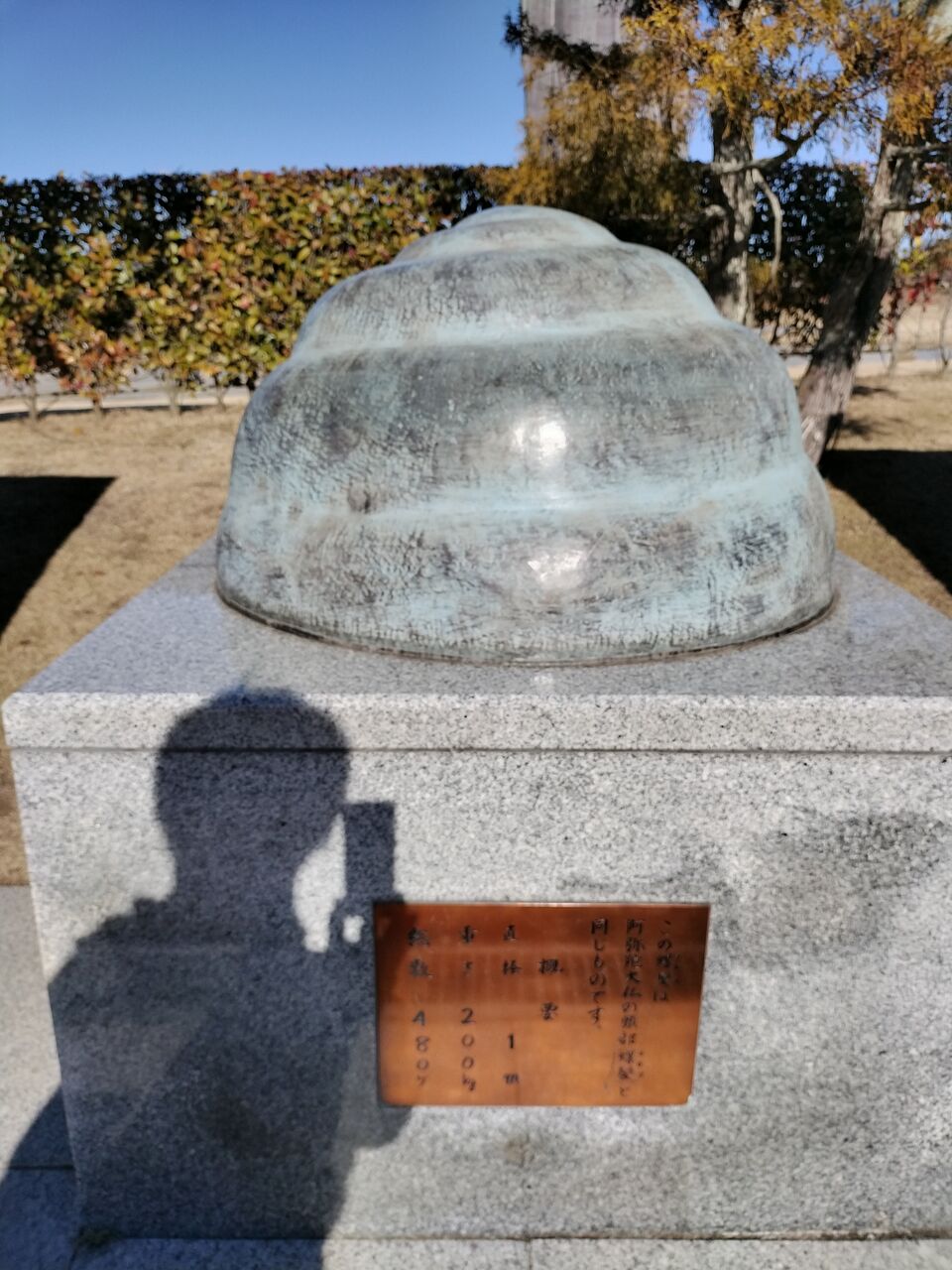 IMG_20260112_102348054