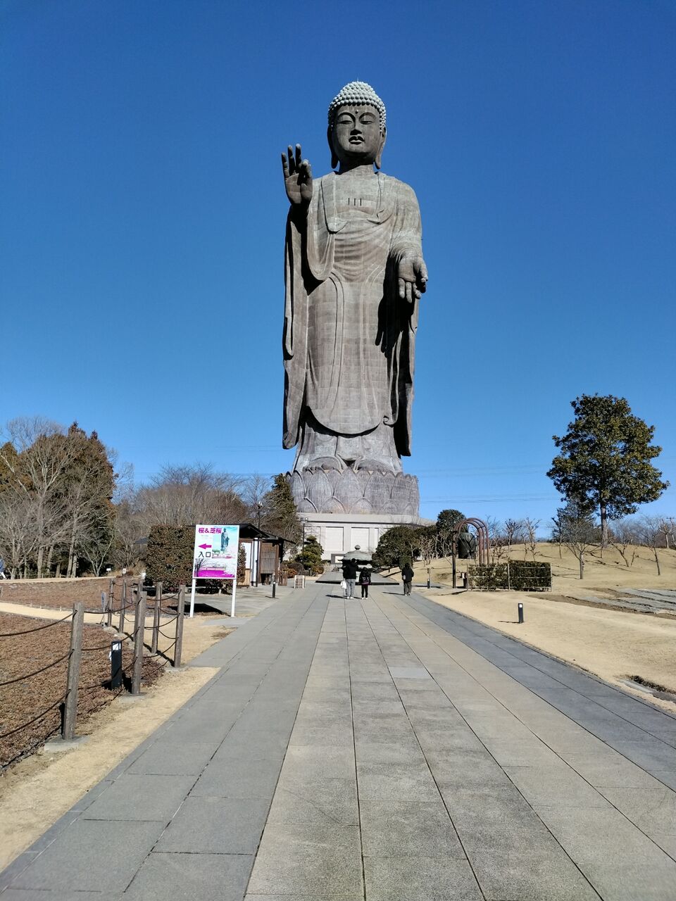 IMG_20260112_102735849