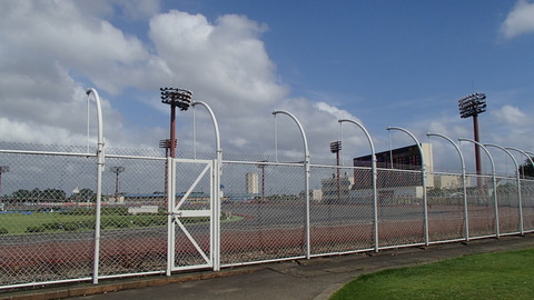 P8152039