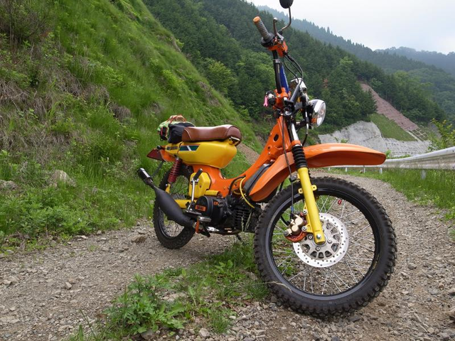 ライバルの予感？ : 珈琲焙煎所 氷川下十番地 主の独り言 