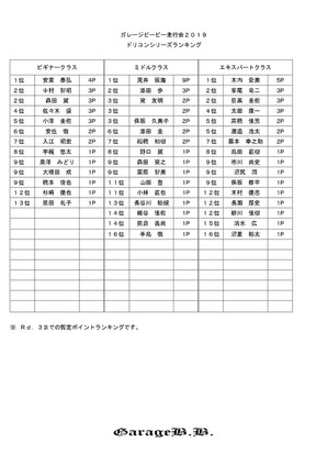 ２０１９シリーズランキング_page-0001