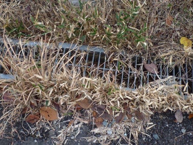 石の間の雑草はどうやって取り除くのですか？