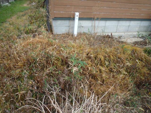 石の間の雑草はどうやって取り除くのですか？