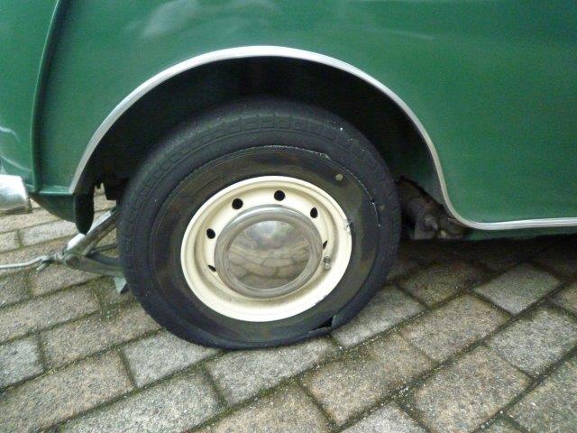 22年07月 Miniと過ごすgaragelife 22年07月 Miniと過ごすgaragelife