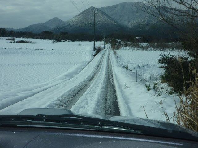 今年はまだミニは雪道を走っていません Miniと過ごすgaragelife