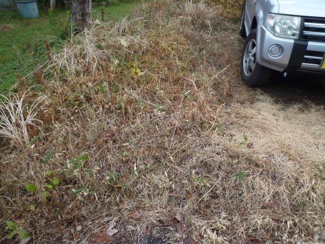 石の間の雑草はどうやって取り除くのですか？