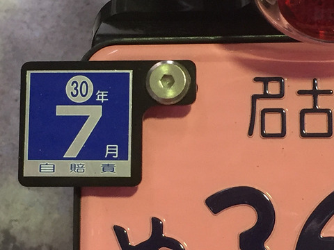 R07386