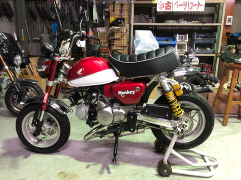 RPIV4606